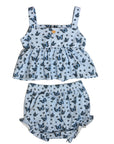 Butterfly Ensemble